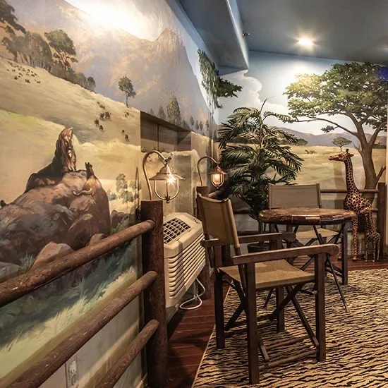 African Safari suite, view 3