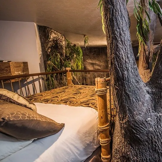 Swiss Family Robinson suite, view 2