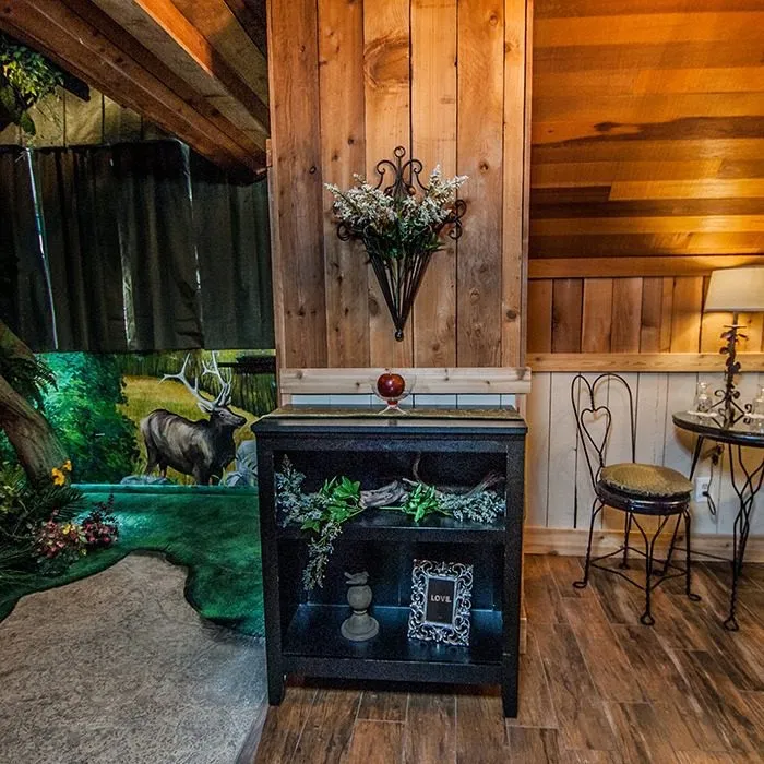 Enchanted Forest suite, view 3